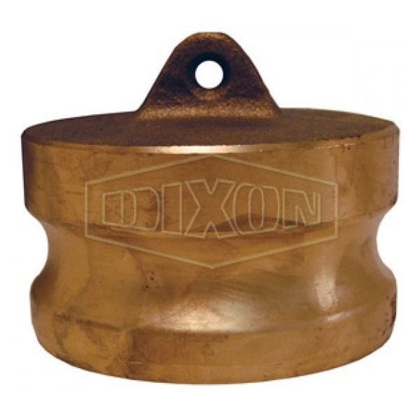 Boss-Lock Type DP Cam and Groove Dust Plug, 1 in Nominal, Brass, Domestic